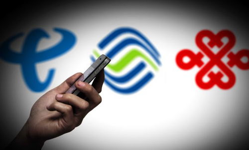 運營商開放14天內到訪地查詢服務 用戶操作指南